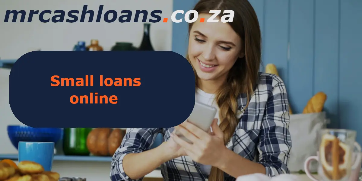 Small loan application